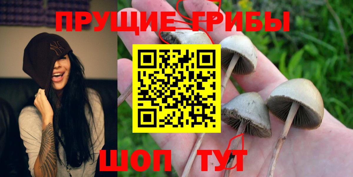 Псилоцибиновые грибы MAGIC MUSHROOMS Курчатов