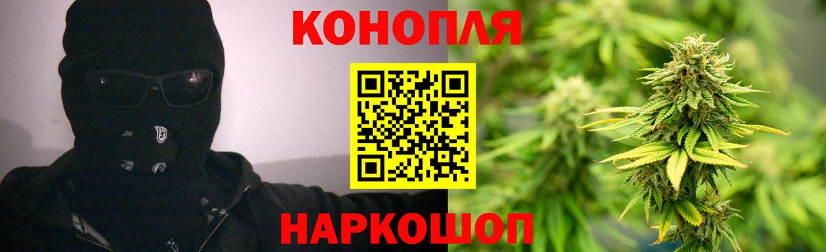 МАРИХУАНА конопля Курчатов